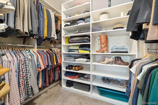 walk in closet with carpet floors