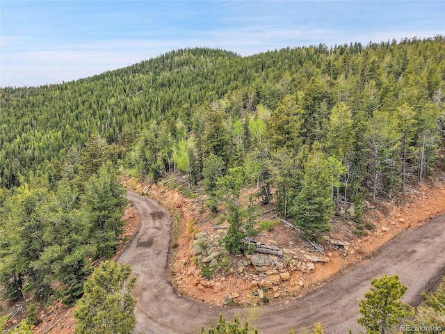 000 Mule Slide Trl, Conifer, CO 80433