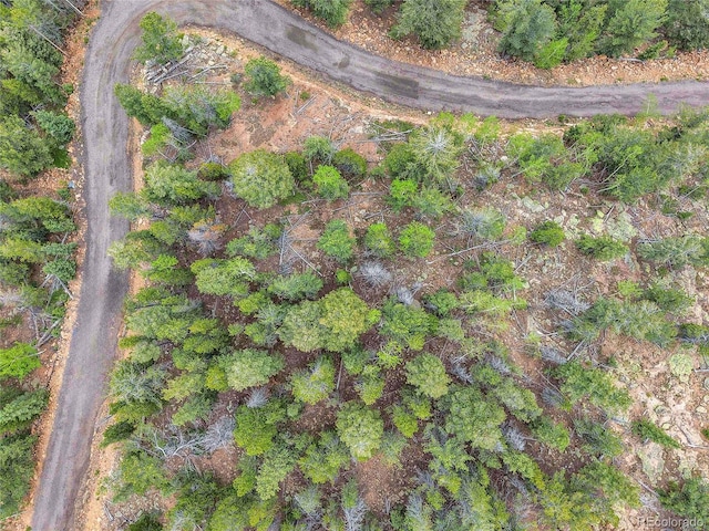 000 Mule Slide Trl, Conifer, CO 80433