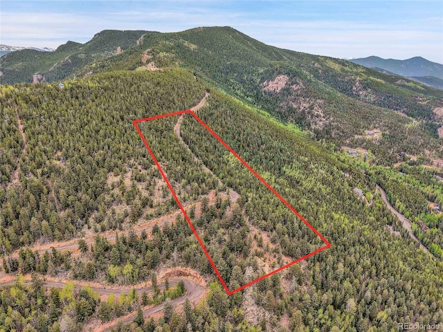 000 Mule Slide Trl, Conifer, CO 80433