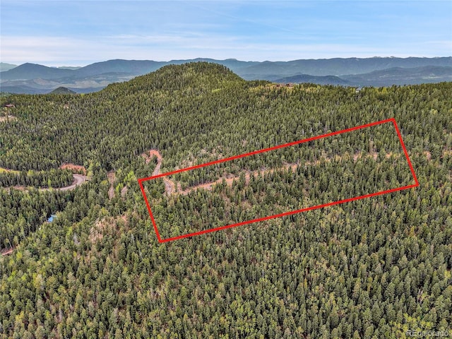 000 Mule Slide Trl, Conifer, CO 80433