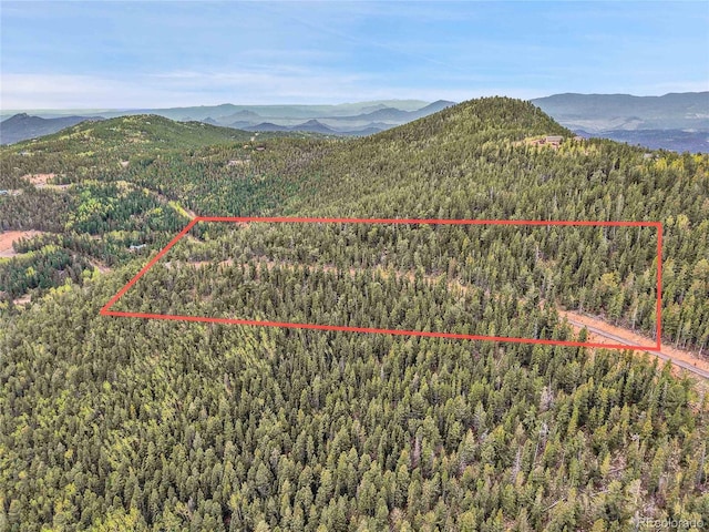 000 Mule Slide Trl, Conifer, CO 80433