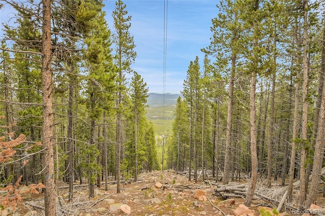 000 Mule Slide Trl, Conifer, CO 80433