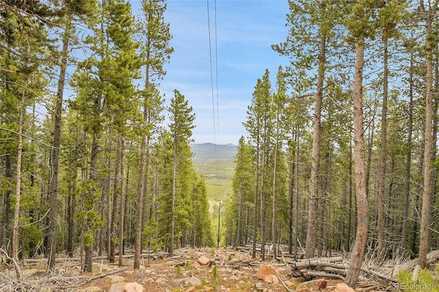 000 Mule Slide Trl, Conifer, CO 80433