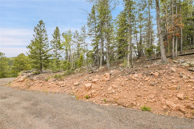 000 Mule Slide Trl, Conifer, CO 80433