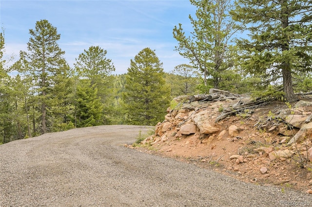 000 Mule Slide Trl, Conifer, CO 80433