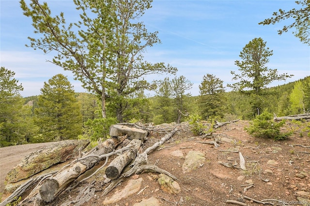 000 Mule Slide Trl, Conifer, CO 80433