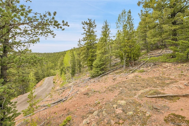 000 Mule Slide Trl, Conifer, CO 80433
