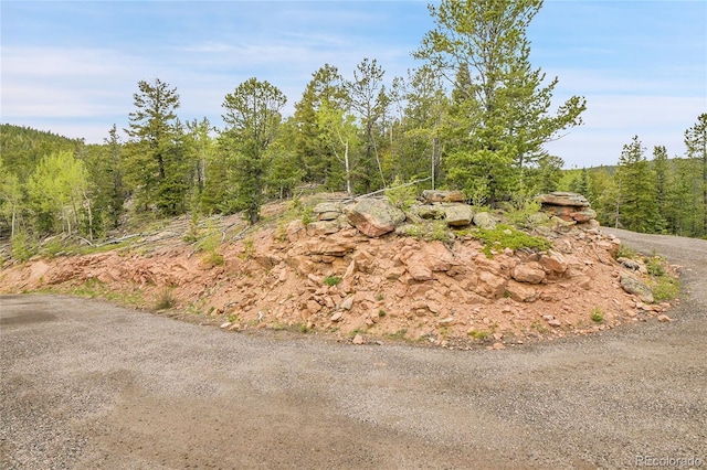 000 Mule Slide Trl, Conifer, CO 80433