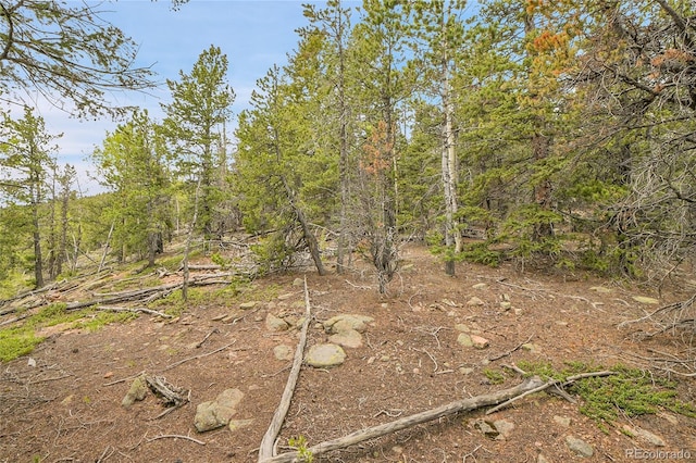 000 Mule Slide Trl, Conifer, CO 80433