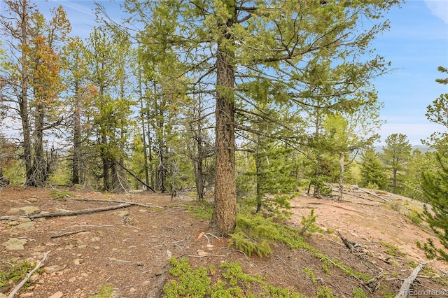 000 Mule Slide Trl, Conifer, CO 80433