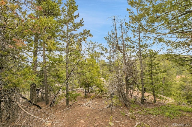 000 Mule Slide Trl, Conifer, CO 80433