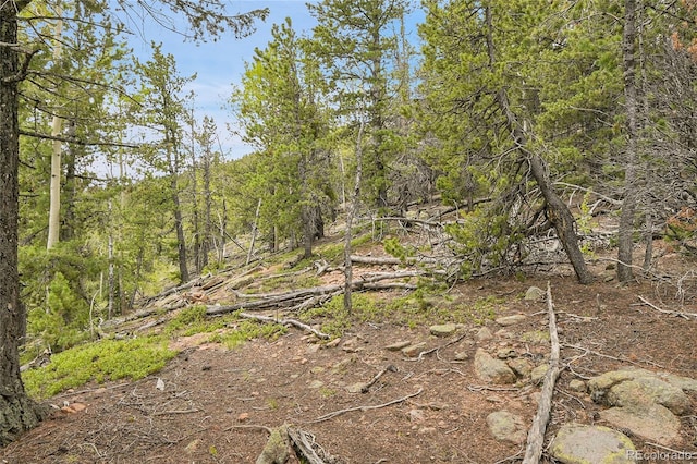 000 Mule Slide Trl, Conifer, CO 80433