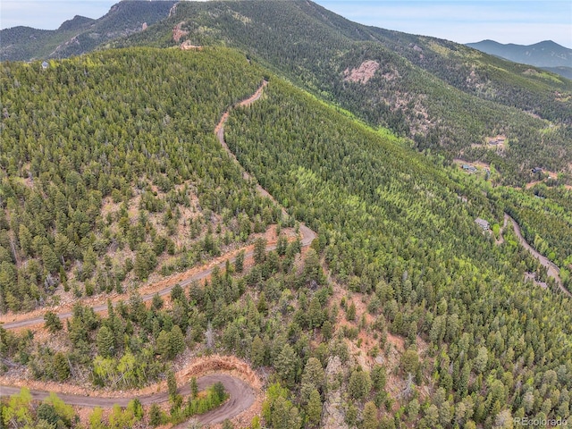 000 Mule Slide Trl, Conifer, CO 80433