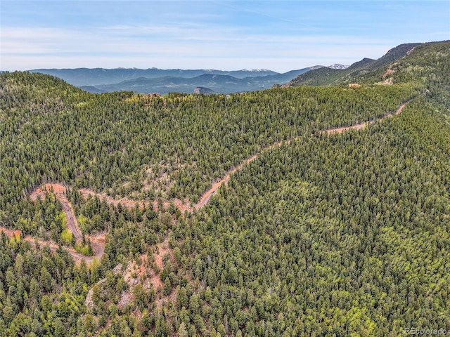 000 Mule Slide Trl, Conifer, CO 80433
