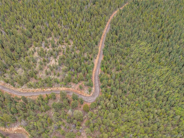000 Mule Slide Trl, Conifer, CO 80433