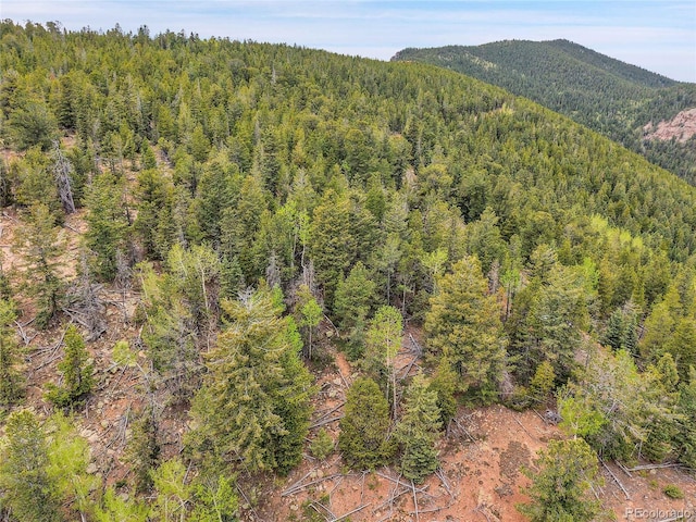 000 Mule Slide Trl, Conifer, CO 80433