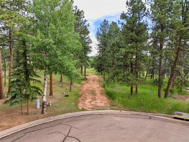 220 Wildrose Ct, Woodland Park, CO 80863 - photo 1