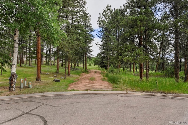 220 Wildrose Ct, Woodland Park, CO 80863 - photo 2