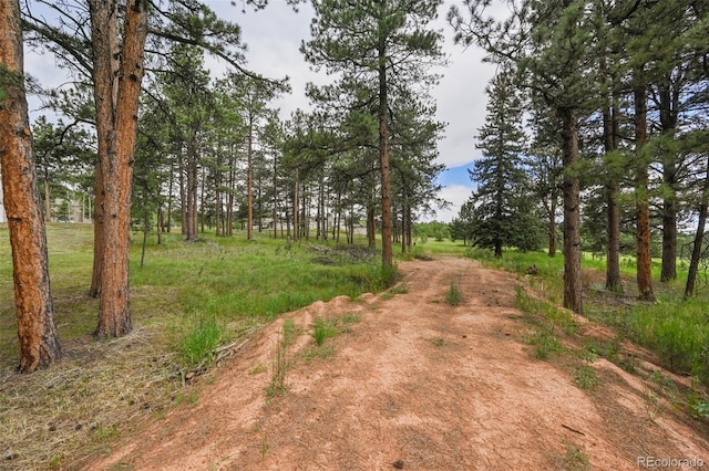 220 Wildrose Ct, Woodland Park, CO 80863 - photo 3