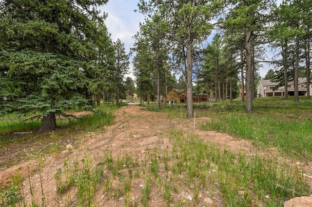 220 Wildrose Ct, Woodland Park, CO 80863 - photo 5