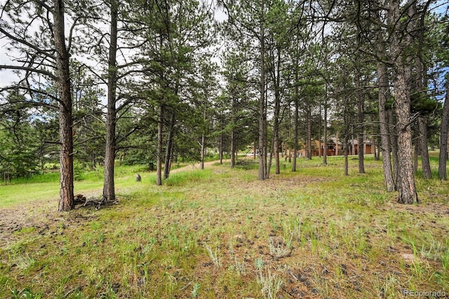 220 Wildrose Ct, Woodland Park, CO 80863 - photo 6