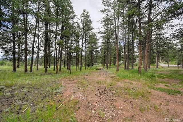 220 Wildrose Ct, Woodland Park, CO 80863 - photo 7