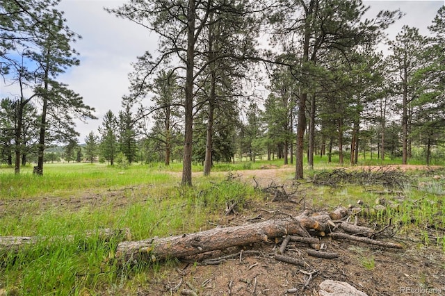 220 Wildrose Ct, Woodland Park, CO 80863 - photo 8