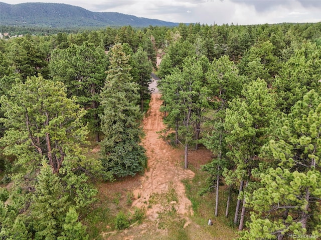 220 Wildrose Ct, Woodland Park, CO 80863 - photo 10