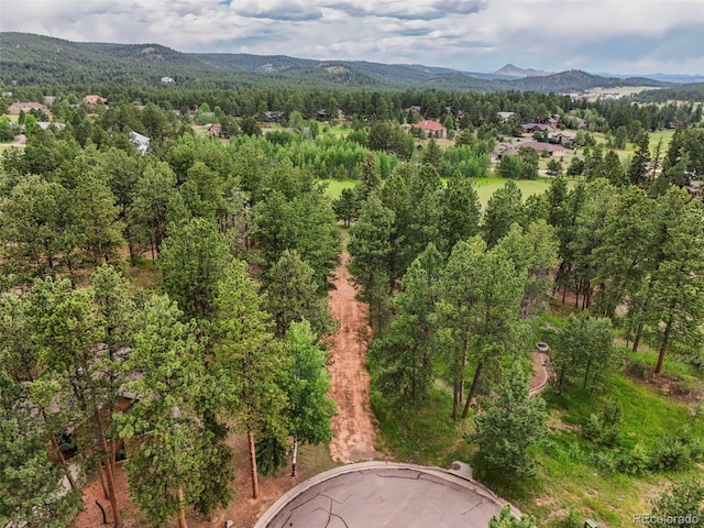 220 Wildrose Ct, Woodland Park, CO 80863 - photo 11