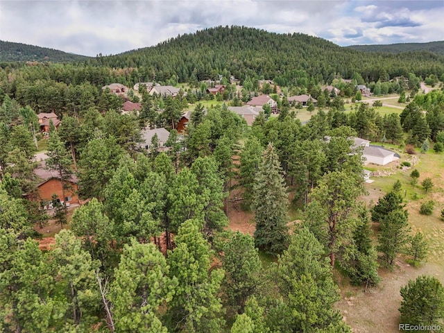 220 Wildrose Ct, Woodland Park, CO 80863 - photo 12