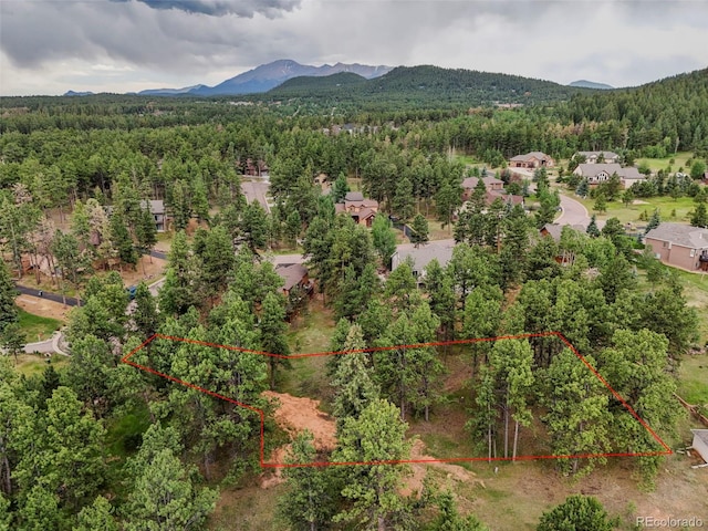 220 Wildrose Ct, Woodland Park, CO 80863 - photo 13