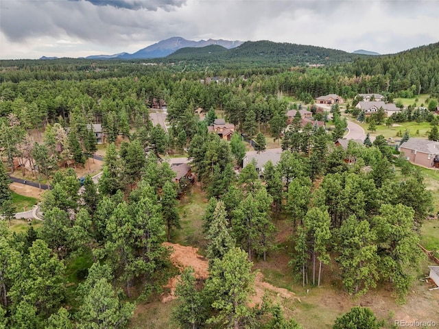 220 Wildrose Ct, Woodland Park, CO 80863 - photo 14