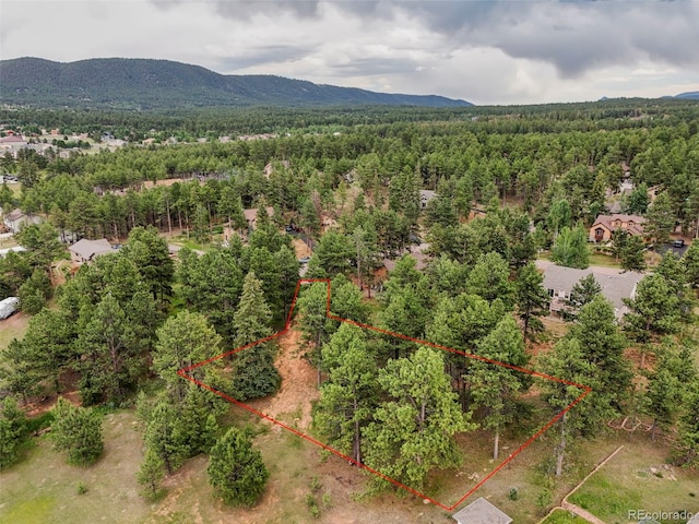 220 Wildrose Ct, Woodland Park, CO 80863 - photo 15