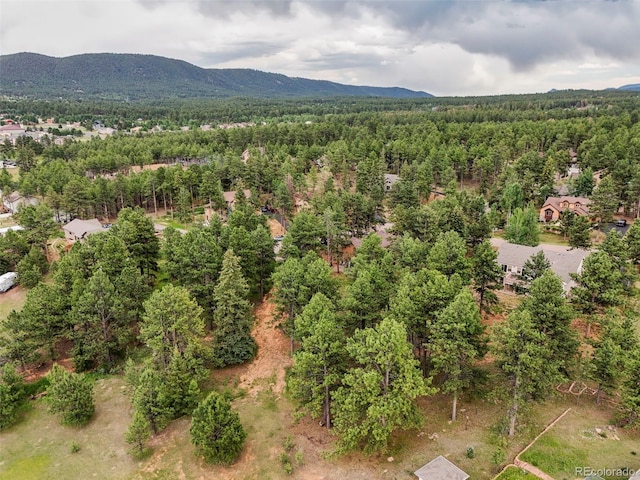 220 Wildrose Ct, Woodland Park, CO 80863 - photo 16