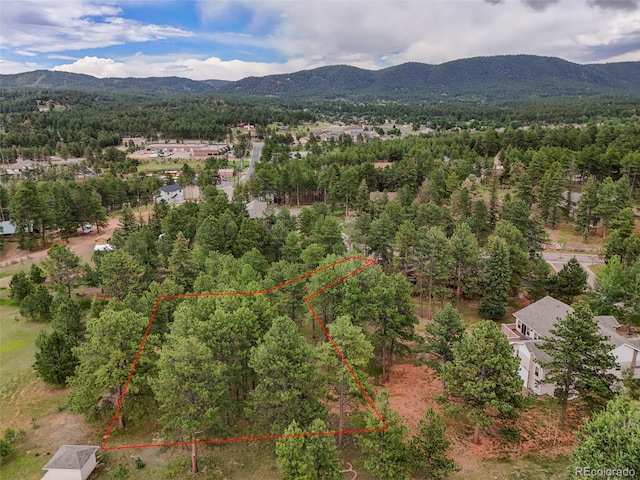 220 Wildrose Ct, Woodland Park, CO 80863 - photo 17