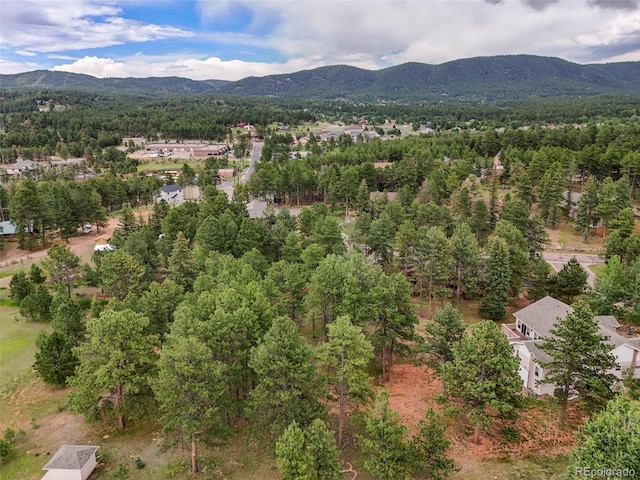 220 Wildrose Ct, Woodland Park, CO 80863 - photo 18