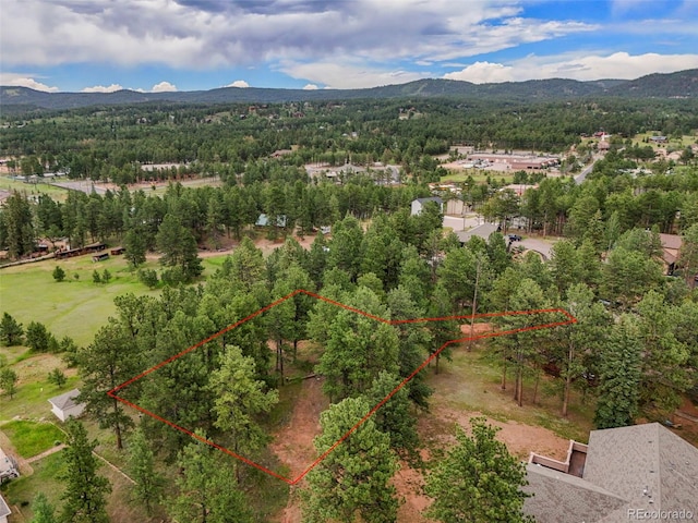 220 Wildrose Ct, Woodland Park, CO 80863 - photo 19