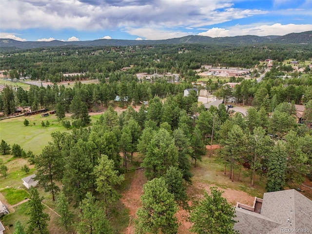 220 Wildrose Ct, Woodland Park, CO 80863 - photo 20