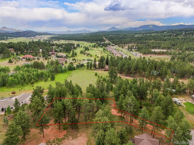 220 Wildrose Ct, Woodland Park, CO 80863 - photo 21