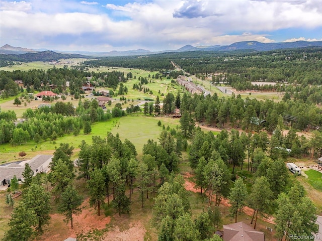 220 Wildrose Ct, Woodland Park, CO 80863 - photo 22