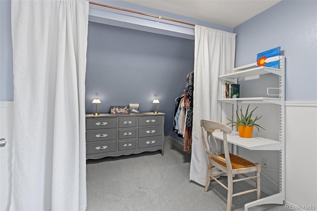 32 Powder Horn Pl, Longmont, CO 80504 - walk in closet with carpet flooring