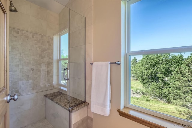 7855 Arundel Ln, Lone Tree, CO 80124 - bathroom featuring a shower stall and plenty of natural light
