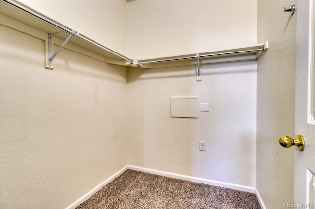 spacious closet featuring carpet floors