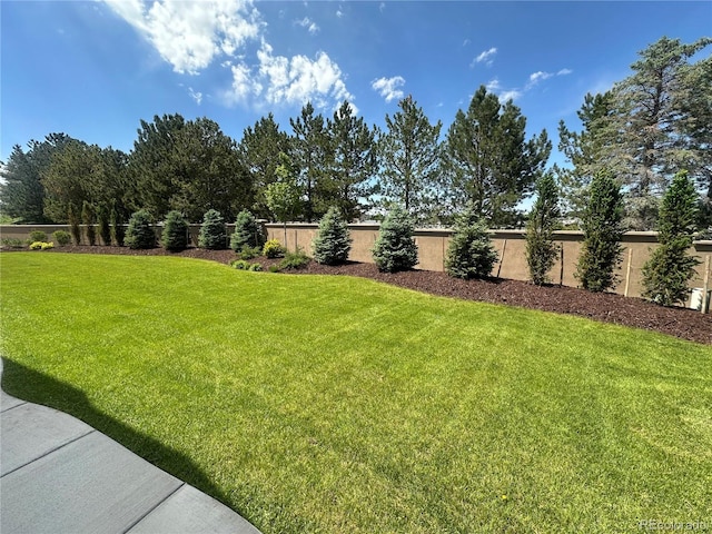 15919 Xanthia Way, Thornton, CO 80602 - view of yard