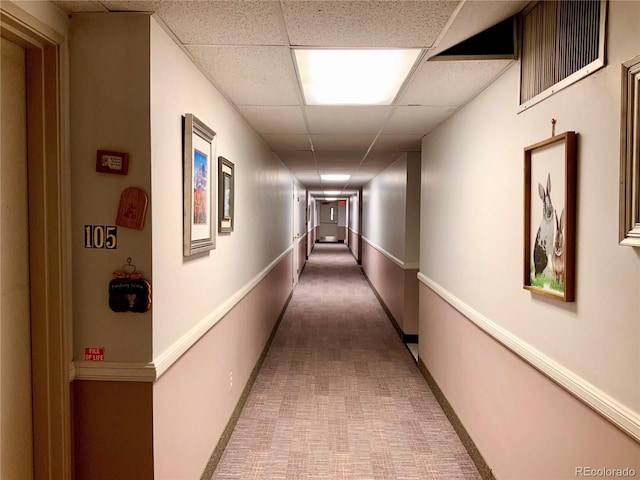 hall featuring carpet floors and a paneled ceiling