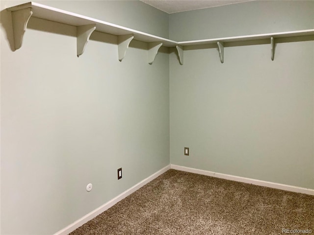 spacious closet featuring carpet flooring