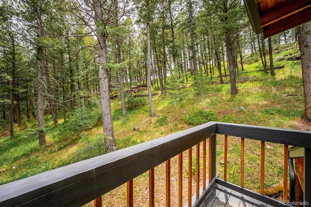 25808 Sunrise Ln, Golden, CO 80401 - photo 25
