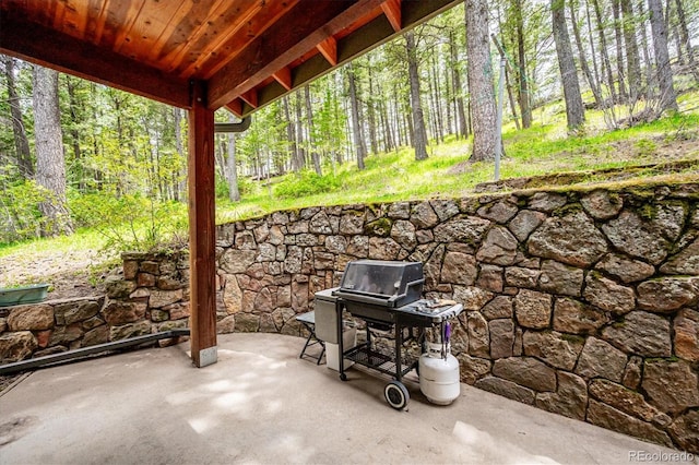 25808 Sunrise Ln, Golden, CO 80401 - photo 38