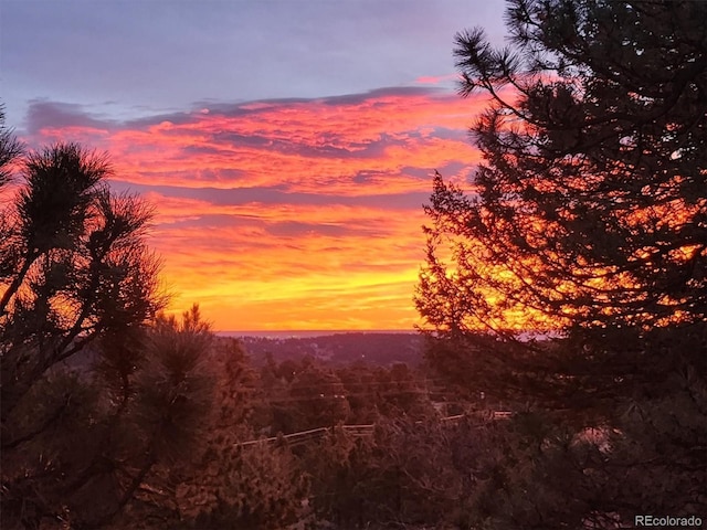 25808 Sunrise Ln, Golden, CO 80401 - photo 39